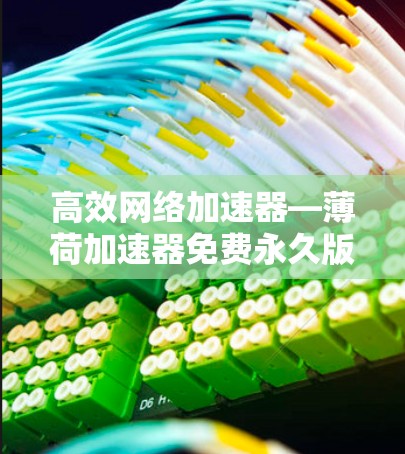 高效网络加速器—薄荷加速器免费永久版,助力你的网络流畅 高效网络加速器—薄荷加速器免费永久版,助力你的网络流畅