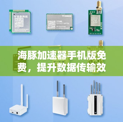 海豚加速器手机版免费,提升数据传输效率的创新解决方案 海豚加速器手机版免费,提升数据传输效率的创新解决方案