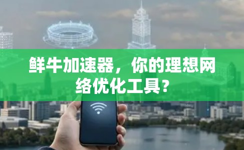 鲜牛加速器,你的理想网络优化工具? 鲜牛加速器,你的理想网络优化工具?