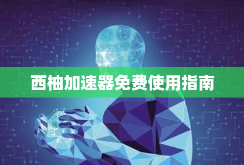 西柚加速器免费使用指南