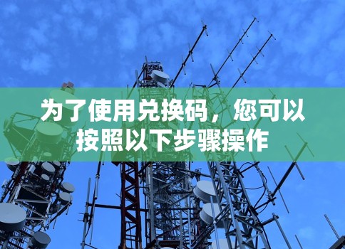 为了使用兑换码，您可以按照以下步骤操作