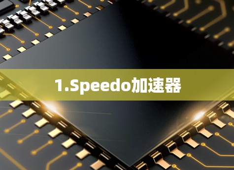 1.Speedo加速器 1.Speedo加速器