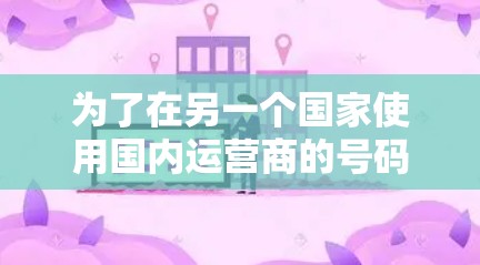 为了在另一个国家使用国内运营商的号码，您可以按照以下步骤操作