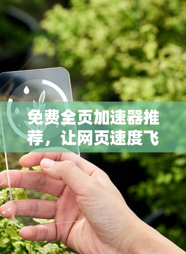 免费全页加速器推荐，让网页速度飞快