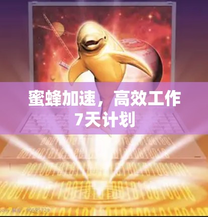 蜜蜂加速，高效工作7天计划