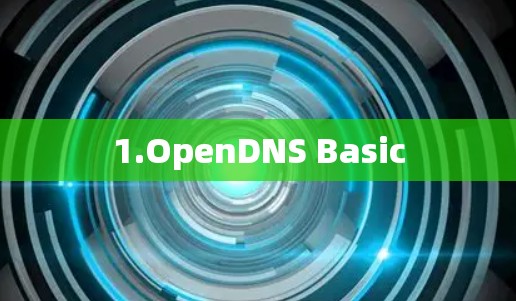 1.OpenDNS Basic 1.OpenDNS Basic