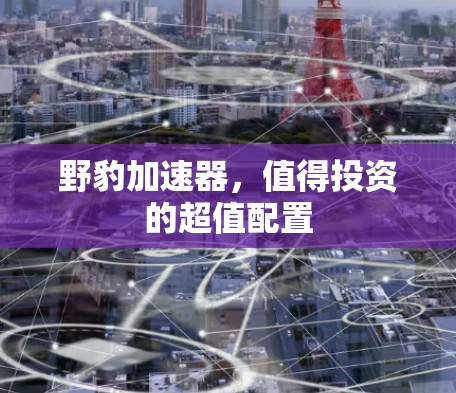 野豹加速器，值得投资的超值配置