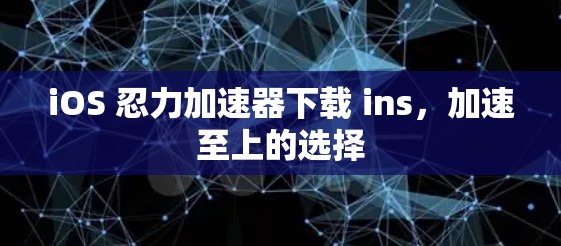iOS 忍力加速器下载 ins，加速至上的选择