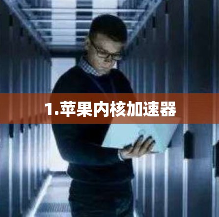 1.苹果内核加速器 1.苹果内核加速器
