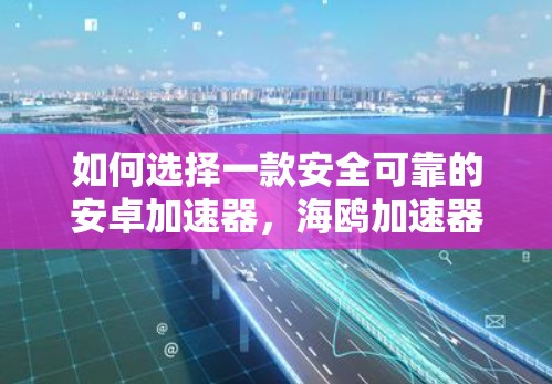 如何选择一款安全可靠的安卓加速器,海鸥加速器的详细介绍