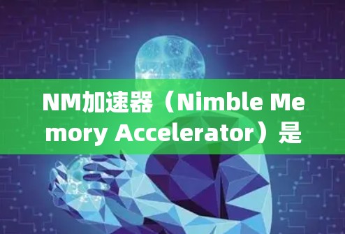 NM加速器（Nimble Memory Accelerator）是一项提供给计算机用户以提升内存加载速度的工具。它通过优化内存访问路径和自动识别内存加载路径来提升性能。以下是关于NM加速器的详细分析